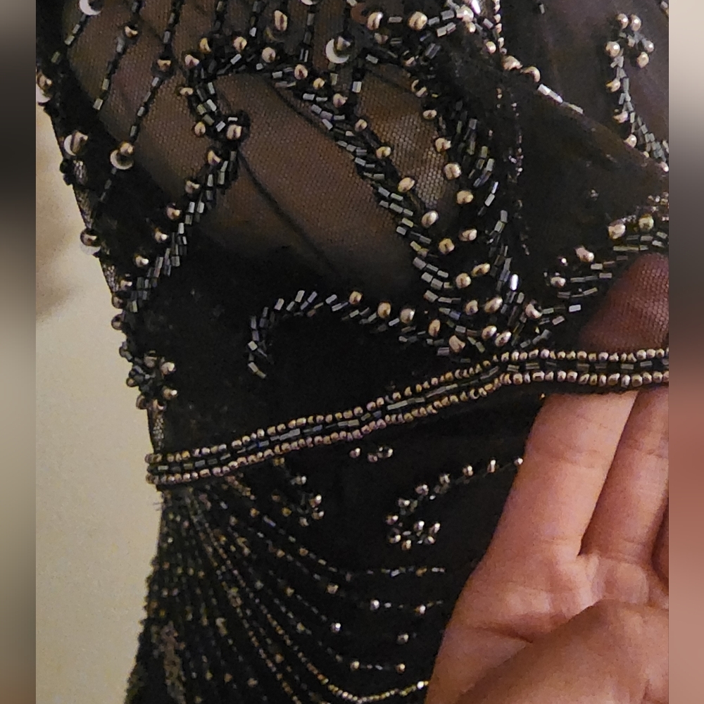 Beaded Mesh column gown by Pisarro Nights size 4 - Picture 5 of 6